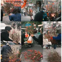 66+ ảnh chợ đào tết rực rỡ sắc xuân mang tài lộc về nhà