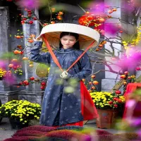 82+ hình nền lễ hội xuân rực rỡ đậm đà bản sắc dân gian