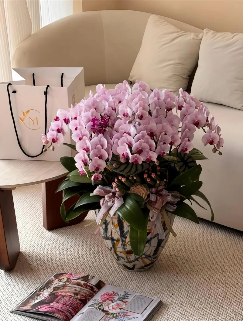 Xuân thêm tươi sáng với Ảnh bình hoa Tết xuân