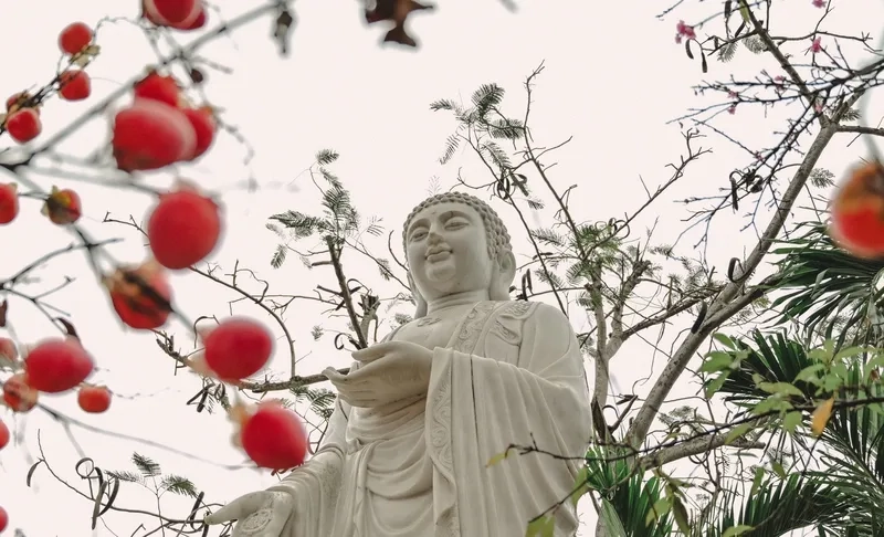 Ảnh chùa chiền ngày tết nắng sớm trong