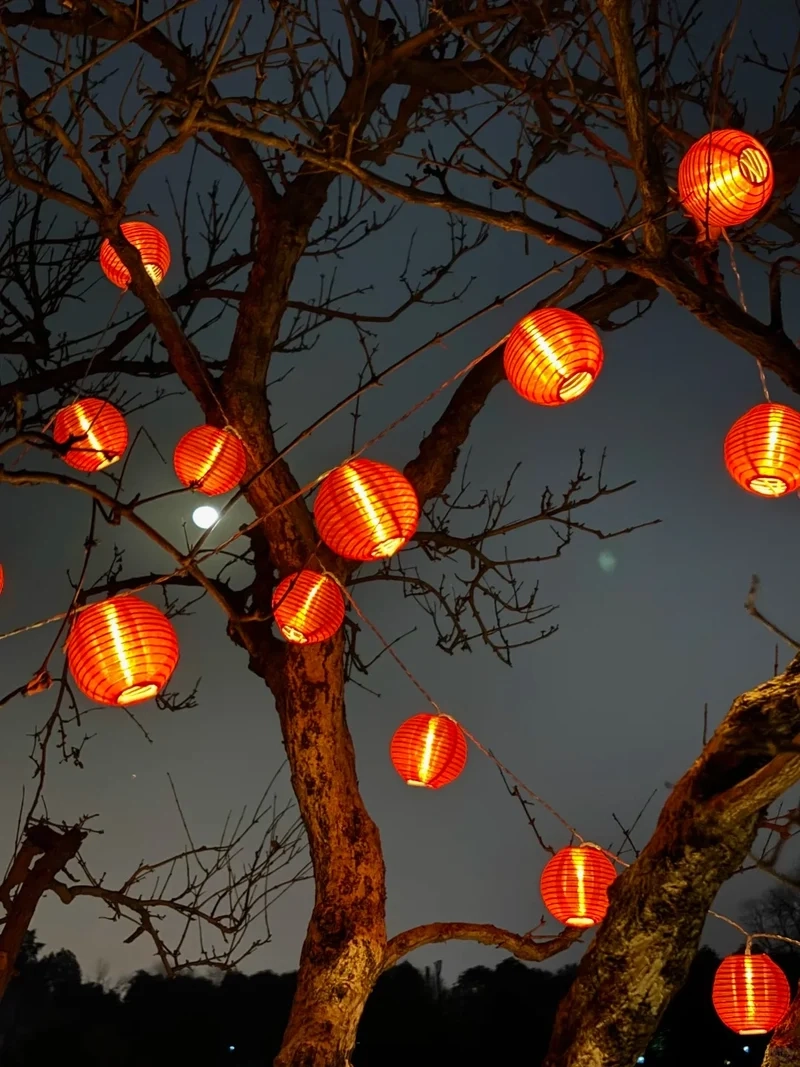 Ngoài trời thêm lung linh với ảnh đèn nháy tết ngoài trời