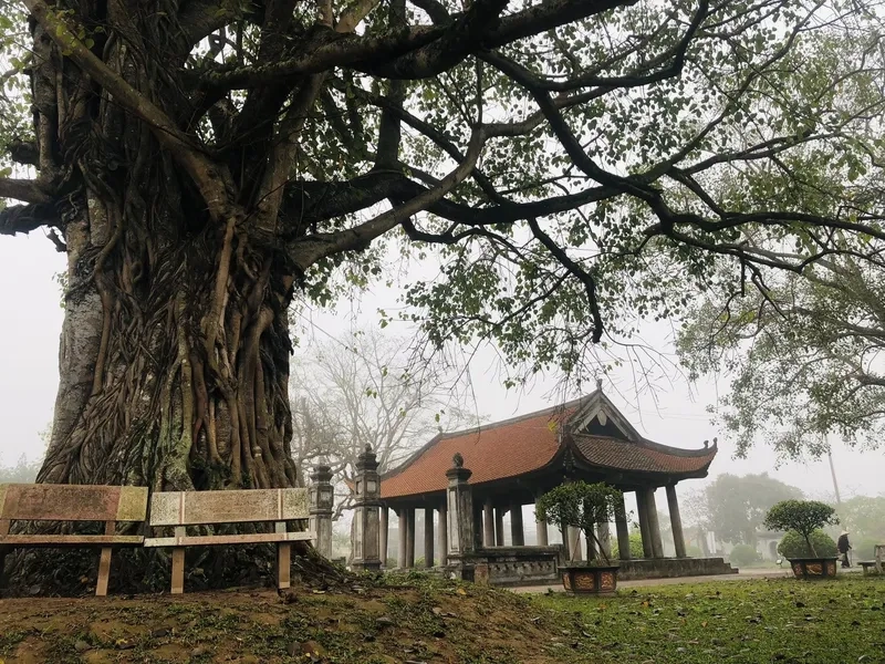 Mẫu hình nền đình làng ngày tết cổ kính