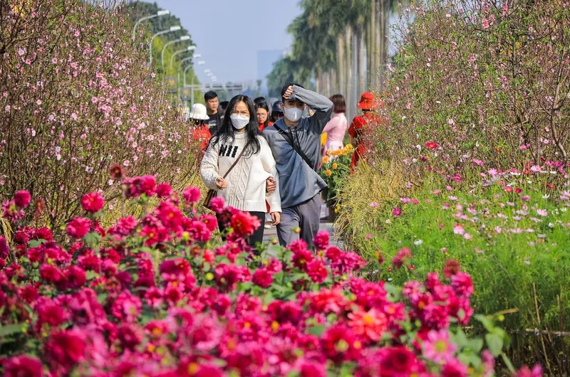 Tấm ảnh du xuân đầu năm miền quê mộc