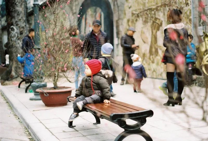 Cô gái ảnh du xuân đầu năm mặc áo dài