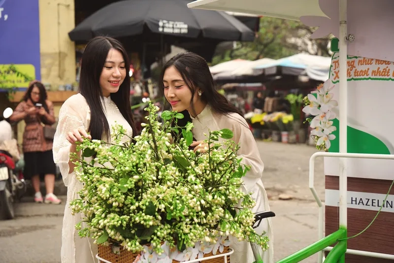 Cài mẫu hình nền du xuân đầu năm xinh