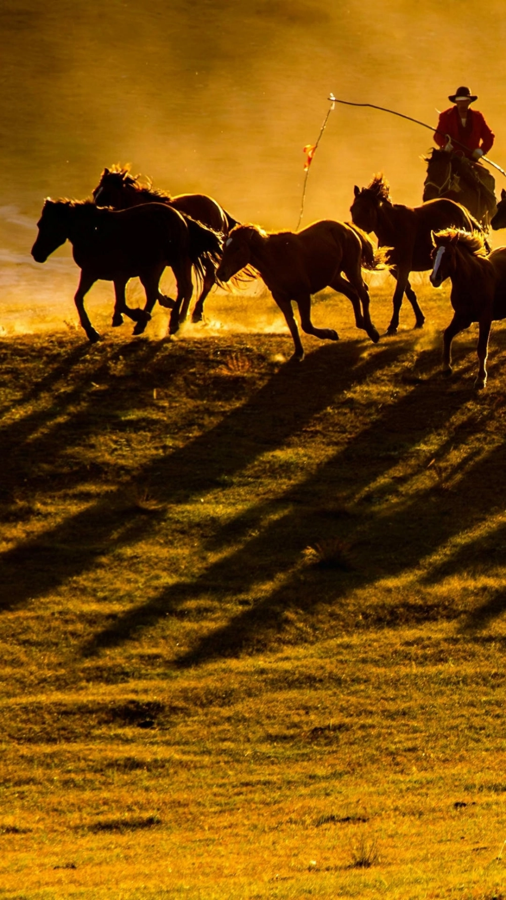 Ý nghĩa tranh mã đáo thành công 2026 rước tài lộc