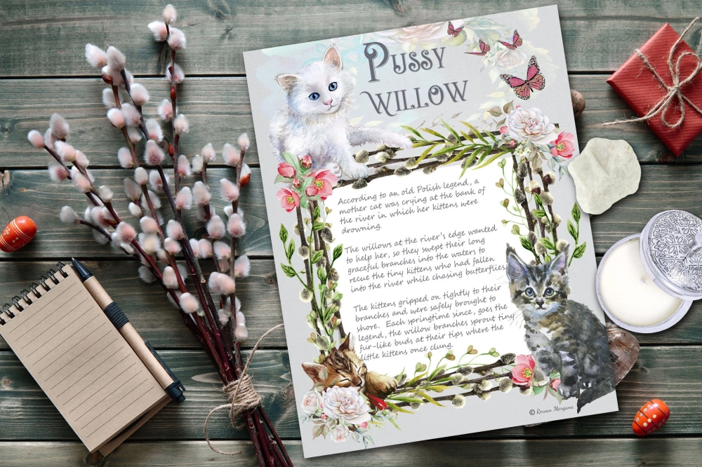 Hình nền tầm xuân lan tỏa không khí tết