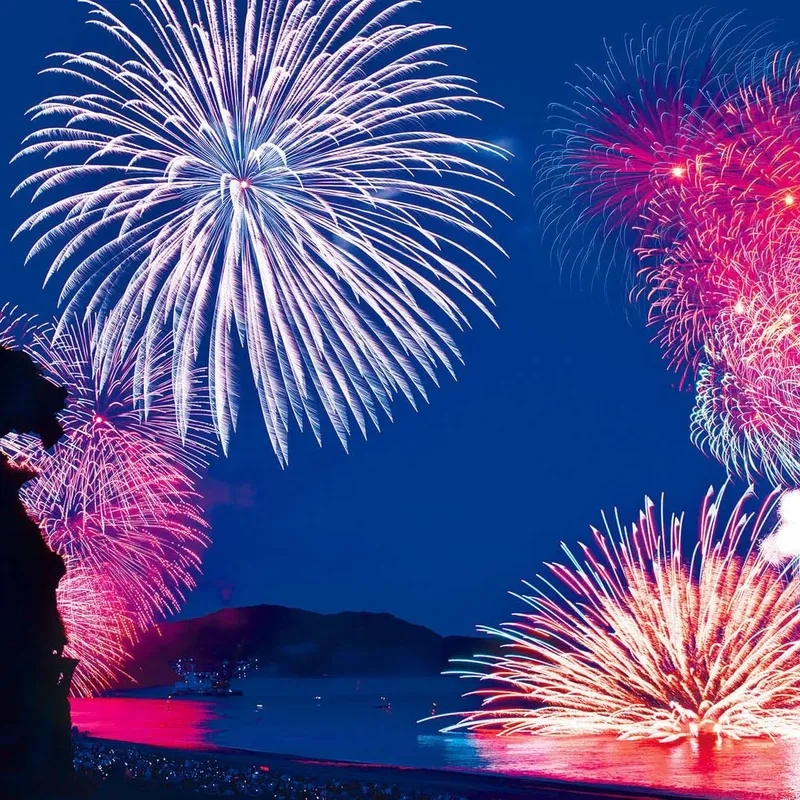 Ảnh pháo hoa giao thừa toàn cảnh đẹp