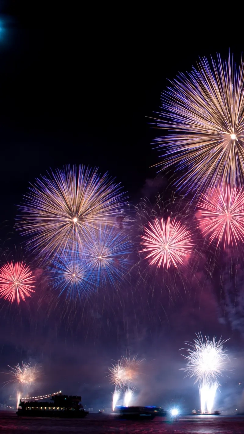 Cảnh pháo hoa giao thừa rực sáng trời