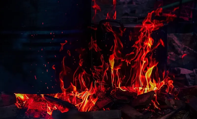 Cảnh tết quê em bên gốc đa sân đình