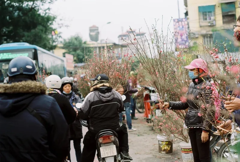 Tấm ảnh sắm đào tết chợ hoa đông
