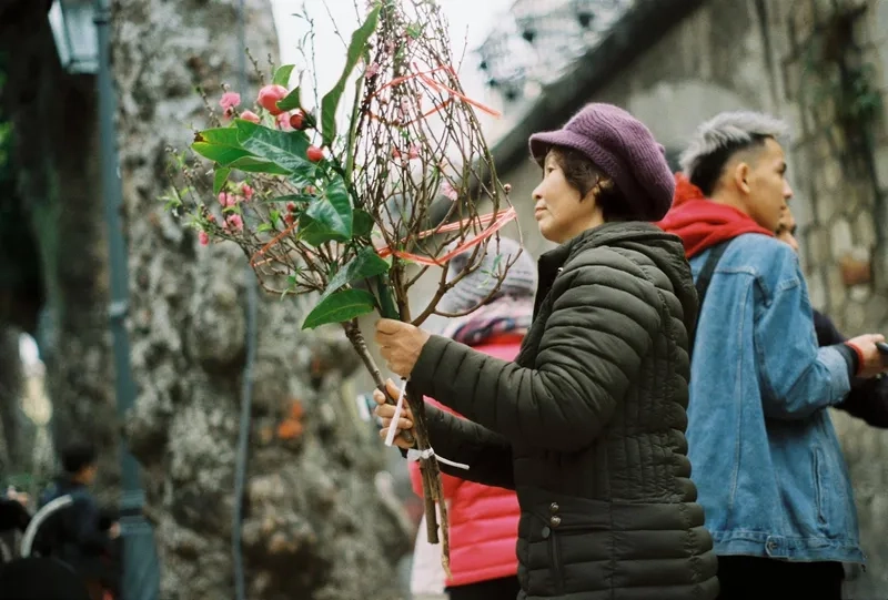 Ảnh chợ đào tết chiều cuối năm buồn