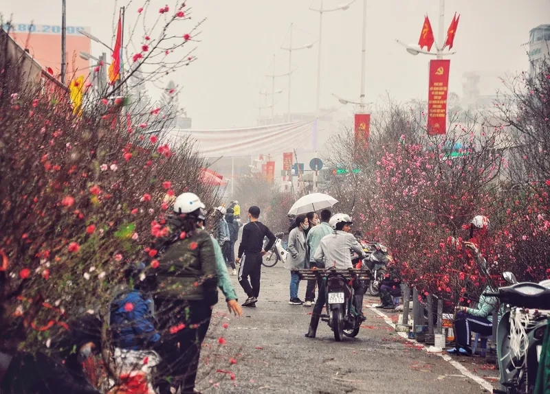 Khung ảnh chợ đào tết dân dã mộc