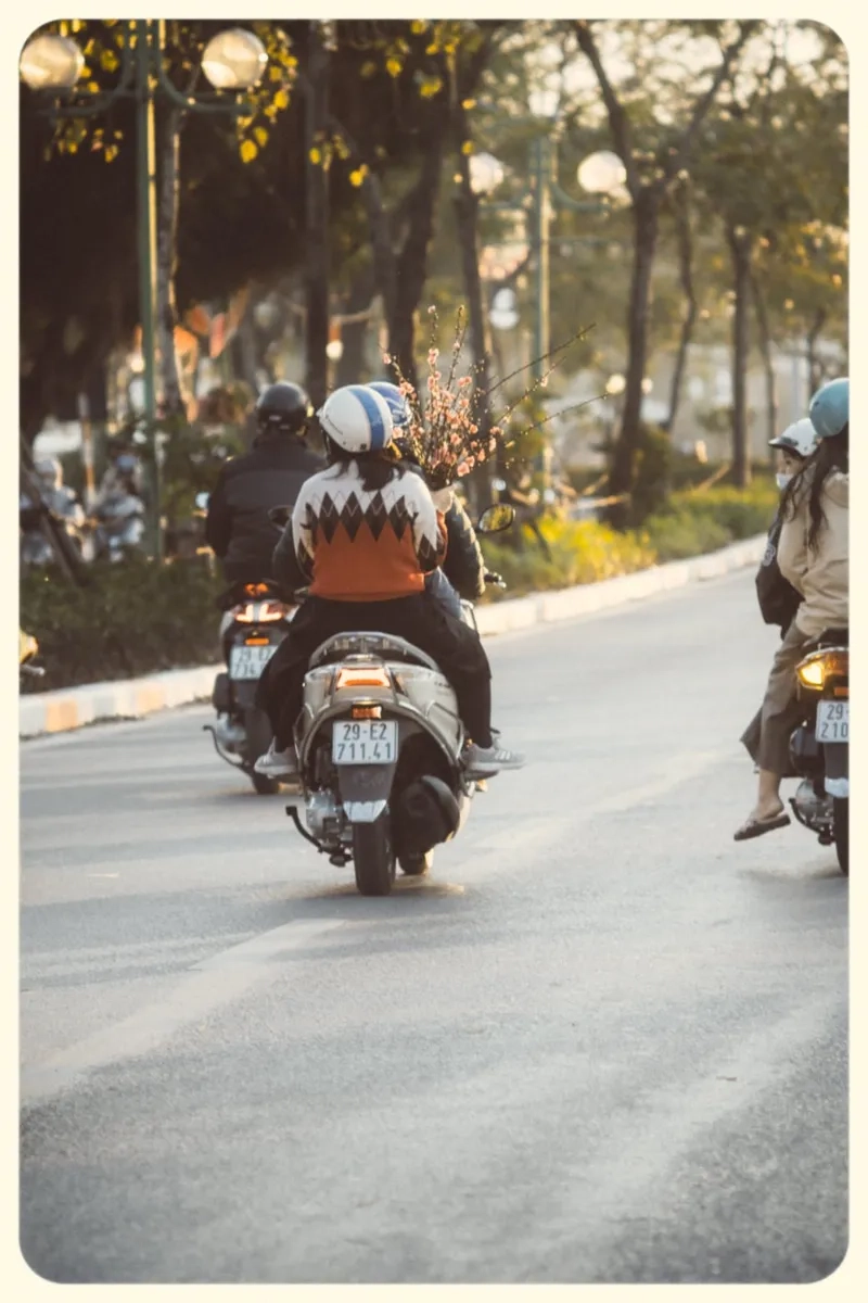 Nét ảnh chợ đào tết phố cổ thâm