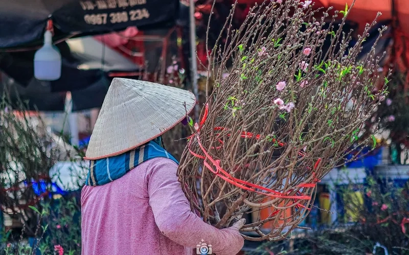 Tấm ảnh làng hoa tết vào mùa rộ