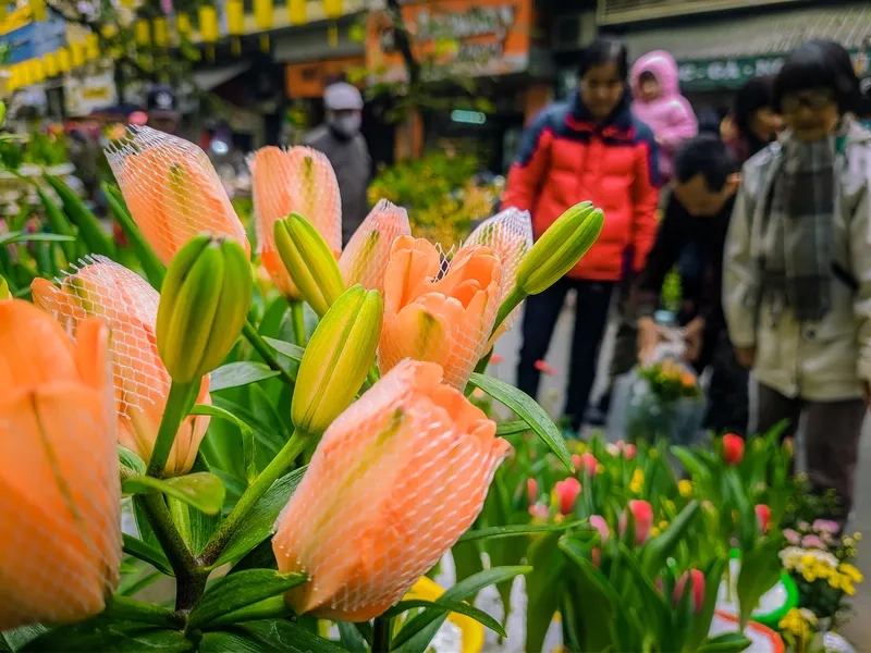 Cảnh chợ hoa tết trên bến dưới thuyền