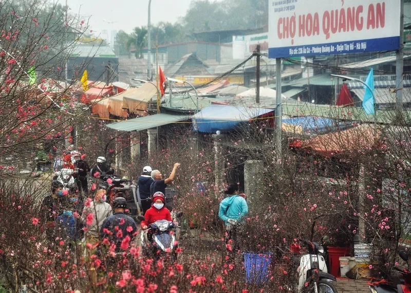 Mẫu hình nền chợ hoa tết rực rỡ nhất