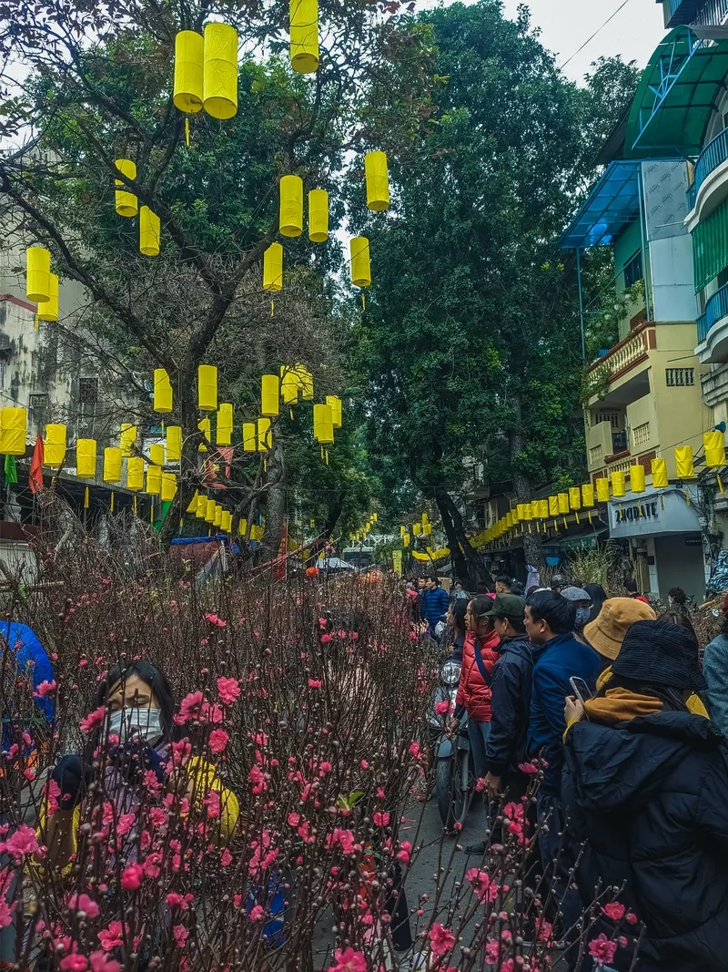 Cảnh chợ hoa tết Sài Gòn 2026 mới