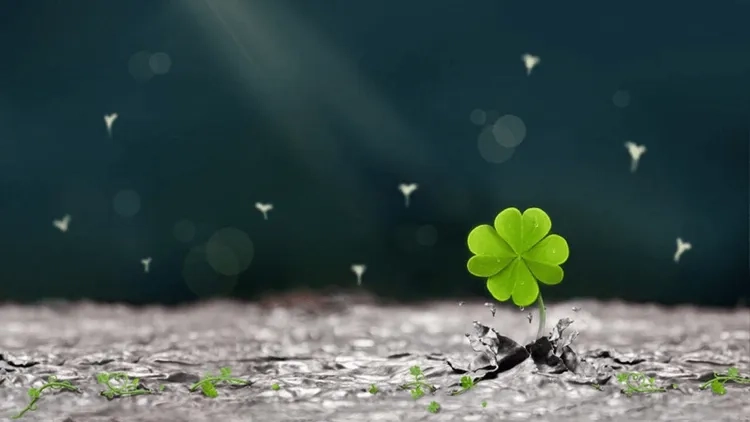 Hình nền chiêu tài full hd đẹp mắt dễ dùng