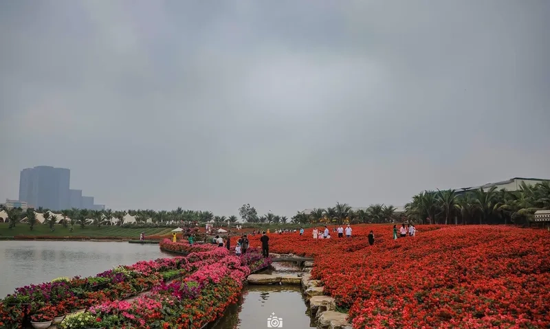 Bộ hình nền đường hoa xuân sắc