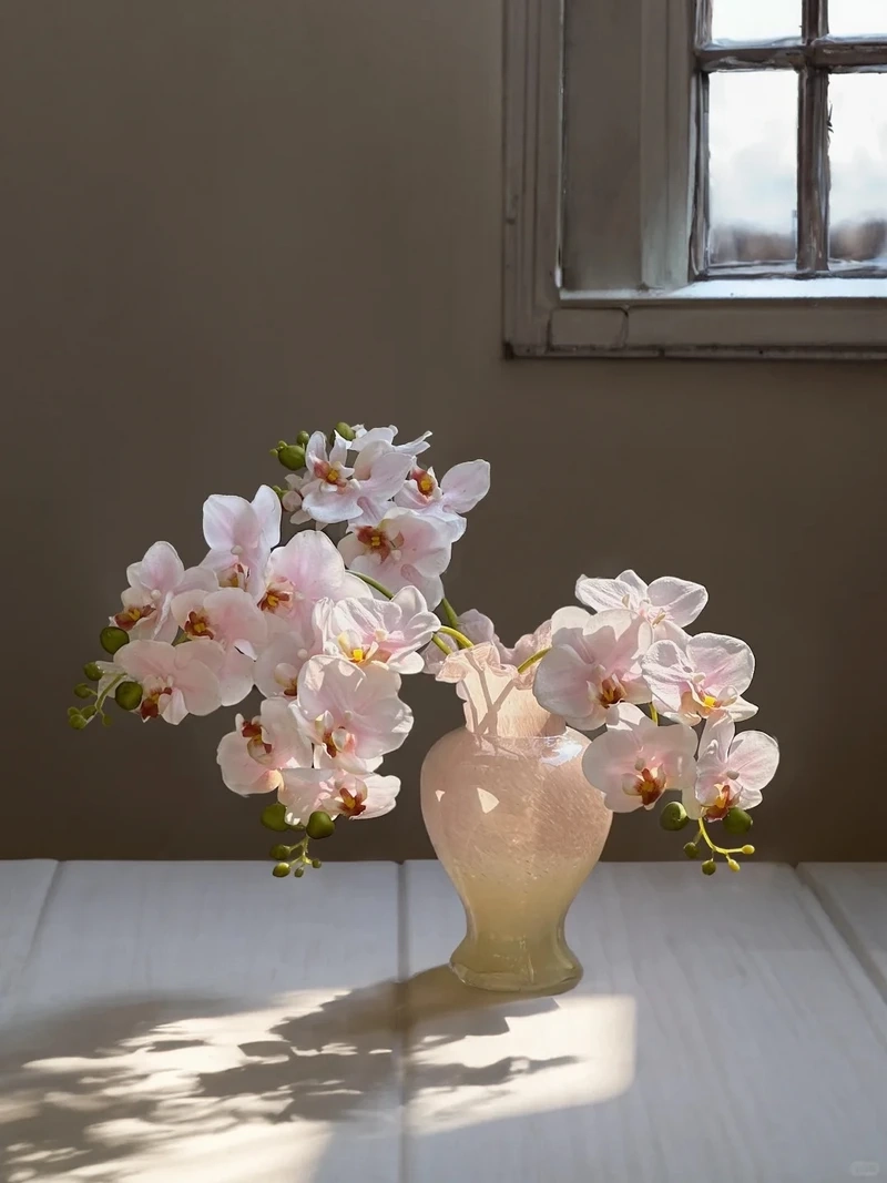 Hình nền hoa lan hồ điệp tối giản đẹp theo phong cách hiện đại