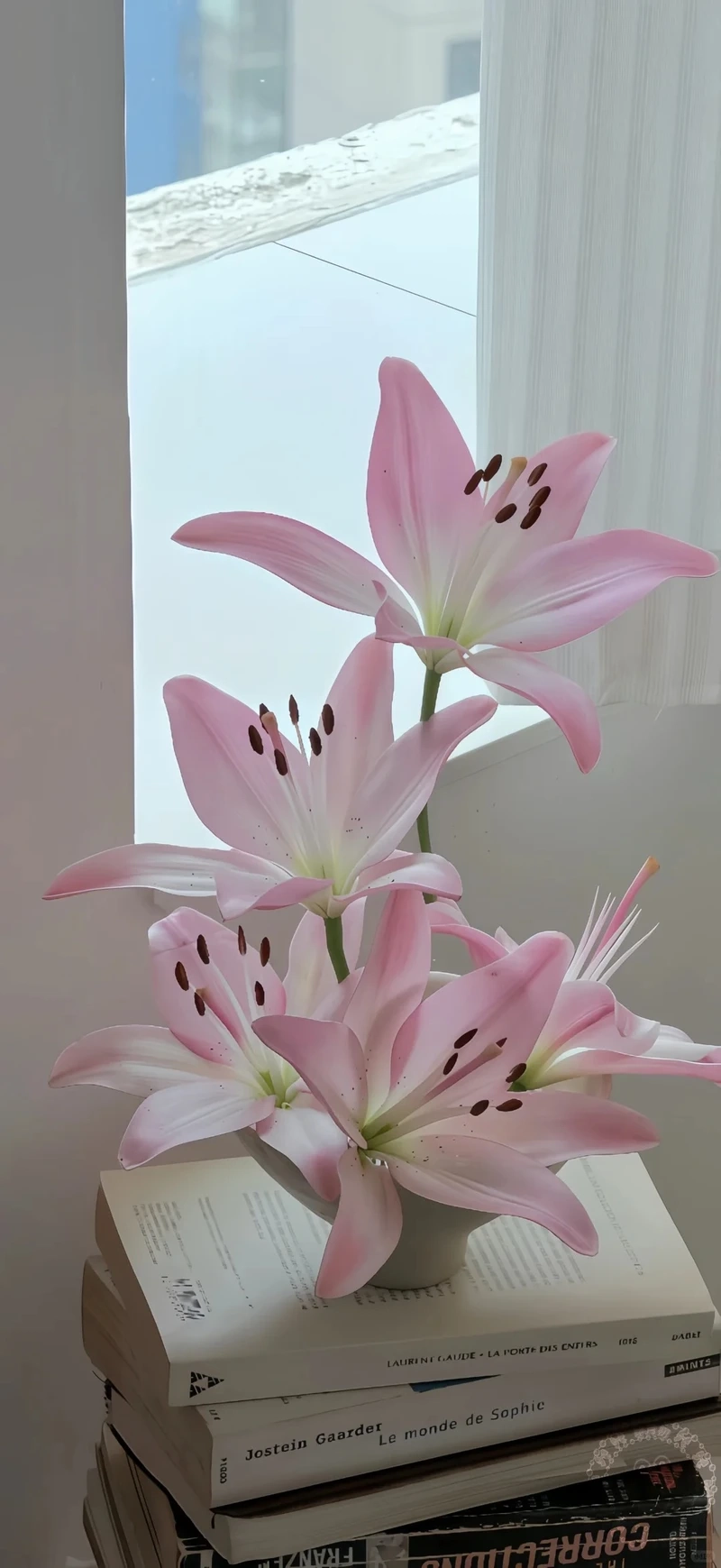 Vẻ đẹp cuốn hút từ hình nền hoa ly đẹp