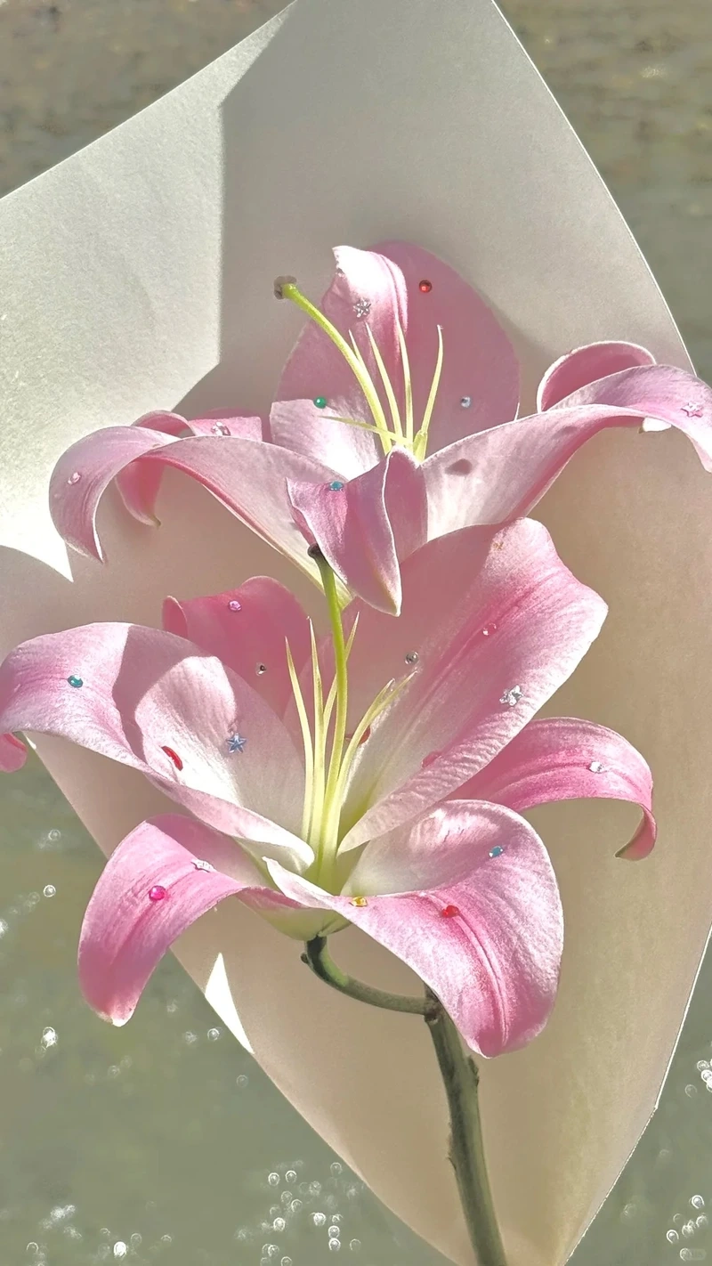 Trải nghiệm hình ảnh rõ nét với hình nền hoa ly full hd