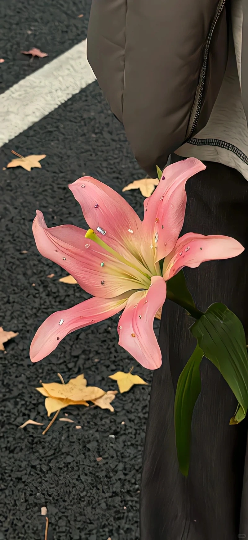 Gu thẩm mỹ nổi bật cùng hình nền hoa ly nghệ thuật