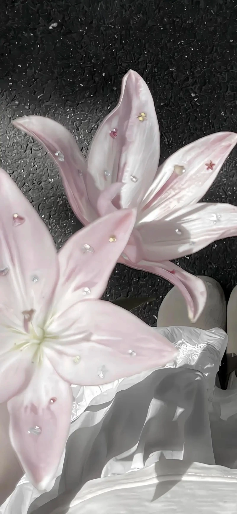 Nâng tầm không gian với hình nền hoa ly sang trọng