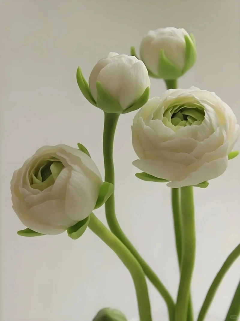 Cảm giác nhẹ mắt từ hình nền hoa mao lương nền sáng