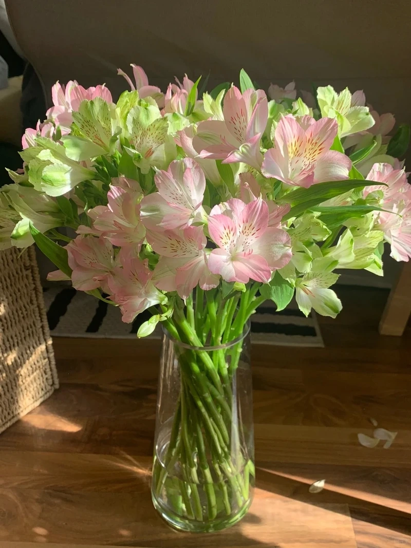 Hình nền hoa thủy tiên may mắn gửi gắm ý nghĩa tích cực