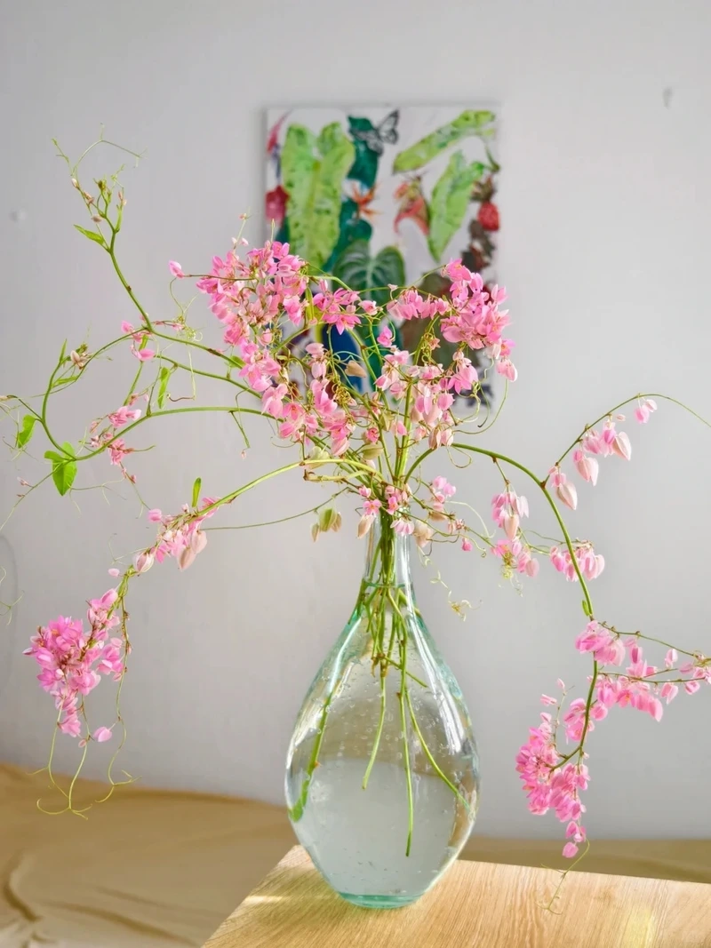 Khơi nguồn sáng tạo từ hình nền hoa tigon nghệ thuật