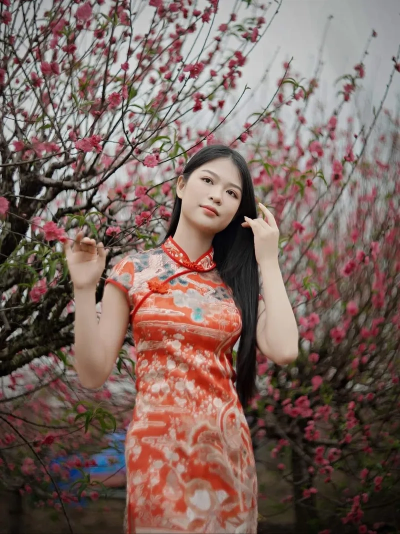 Hình nền lễ hội xuân thanh bình nhã