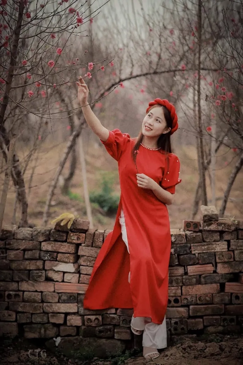 Kiểu hình nền lễ hội xuân dân gian