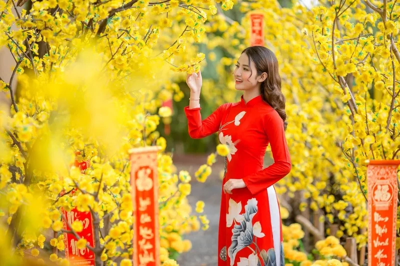 Mẫu hình nền lễ hội xuân Việt Nam