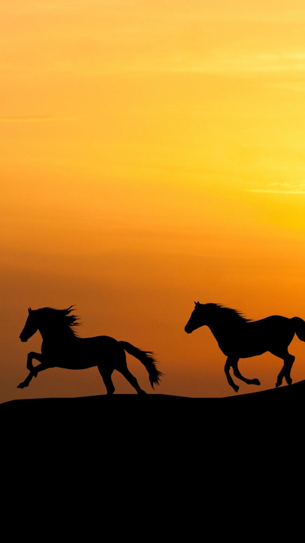 Ảnh ngựa 4k thiên nhiên giữa thảo nguyên xanh