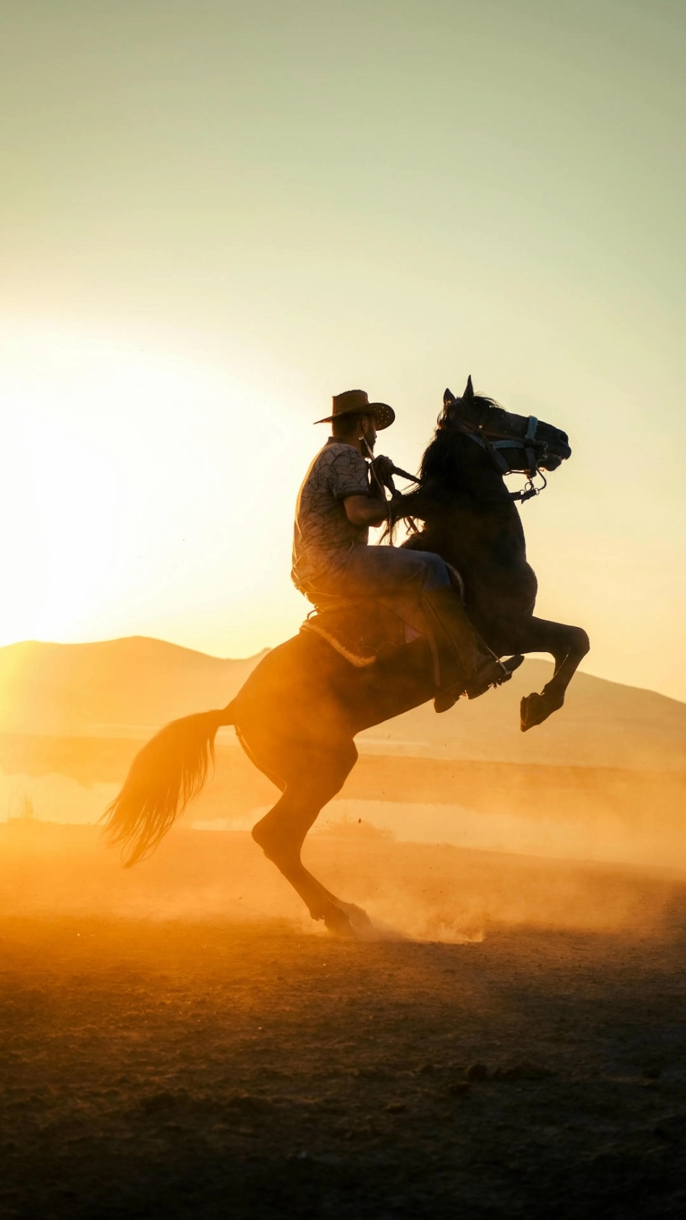 Hình nền ngựa 4k nghệ thuật trừu tượng