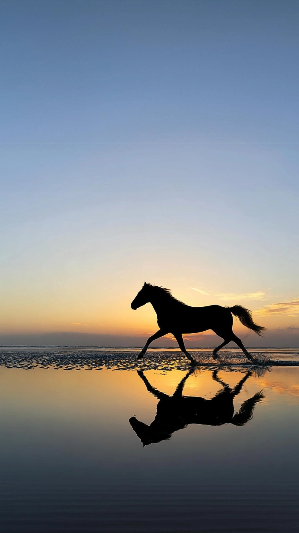 Hình nền ngựa chạy trên thảo nguyên xanh mướt