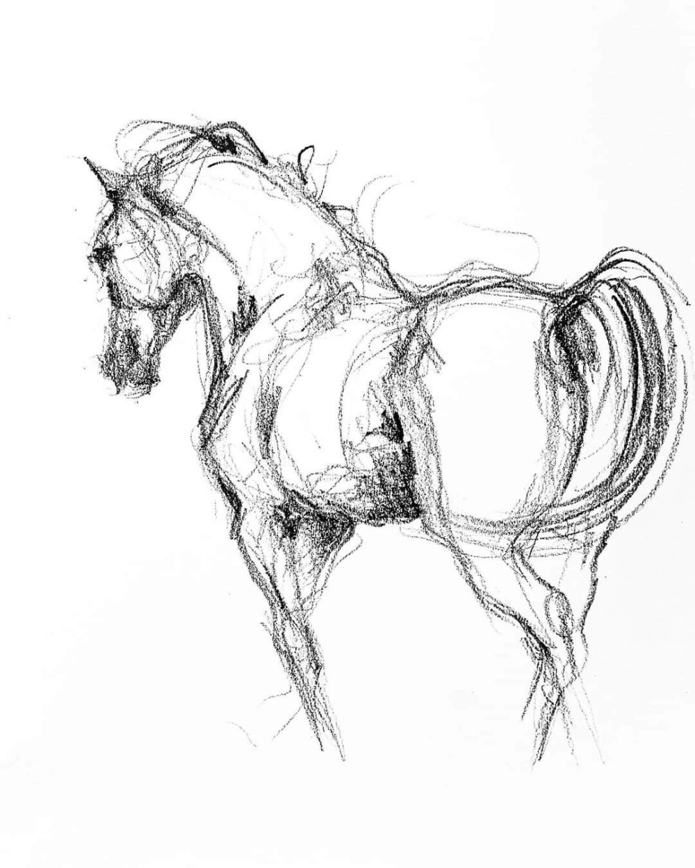 Ảnh ngựa thủy mặc ý nghĩa về sự kiên trì