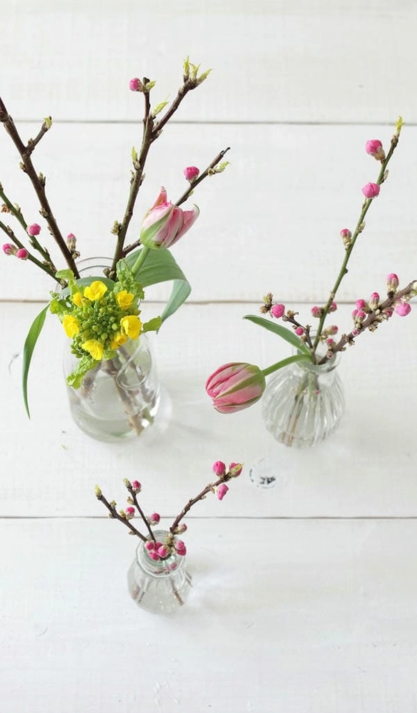 Ảnh cành đào đẹp khoe sắc hồng mùa xuân