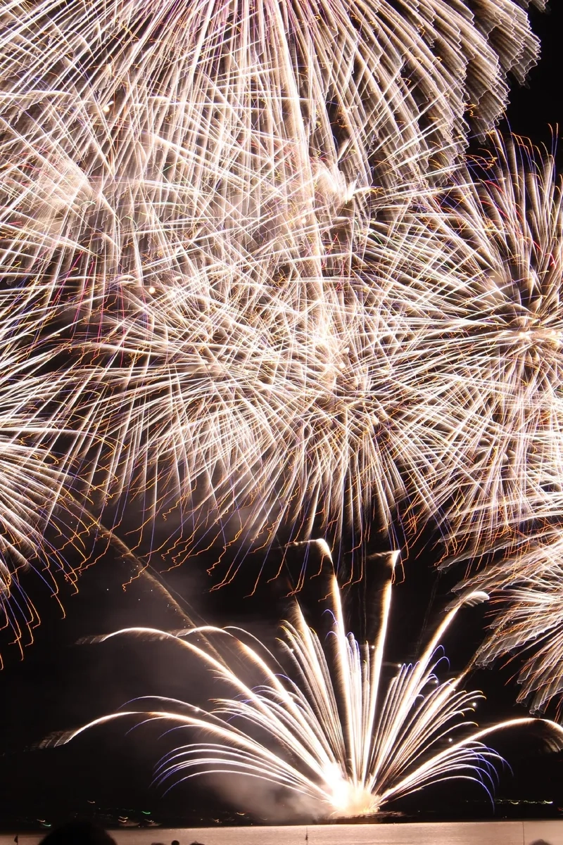 Hình pháo hoa đêm giao thừa đẹp quá xá