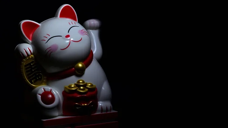 Mèo thần tài được xem là con mèo chiêu tài