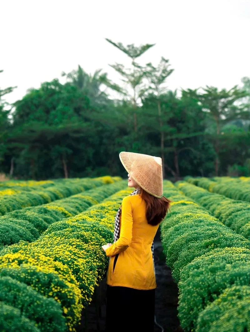 Ảnh làng hoa tết đẹp mộc mạc thân quen