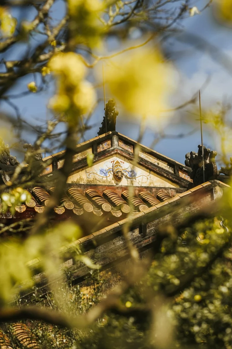 Ảnh nắng xuân mang cảm giác dịu dàng