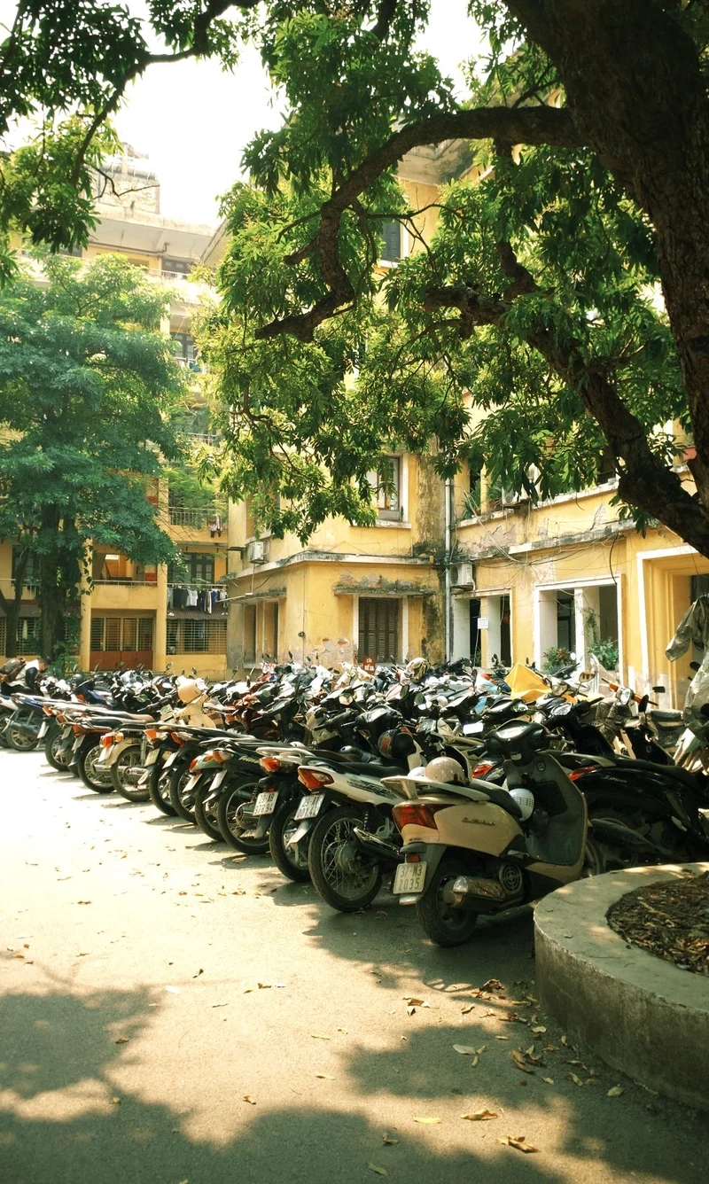 Ảnh nắng xuân làm lòng người ấm áp