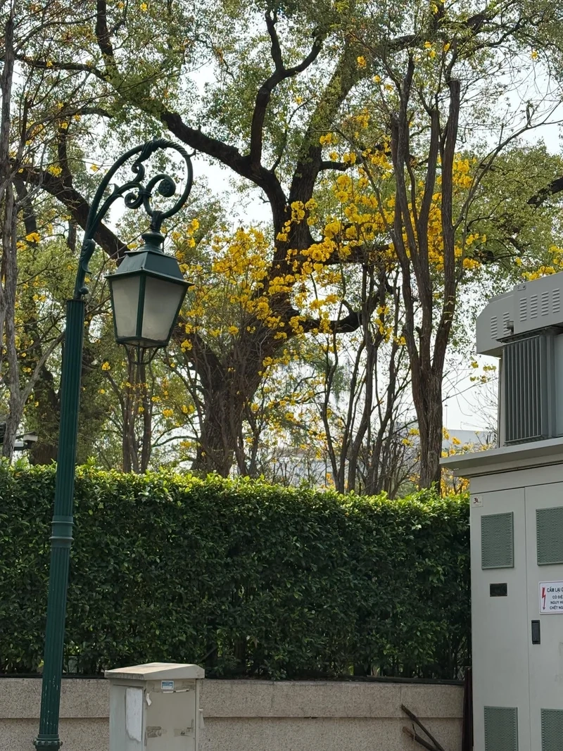 Ảnh nắng xuân gợi cảm hứng nhẹ nhàng