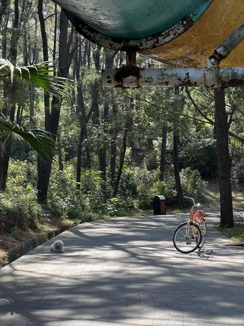 Lưu giữ ánh sáng bằng Ảnh nắng xuân