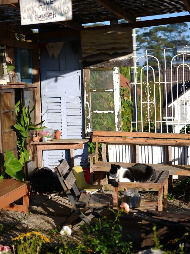 Chọn ngay Ảnh nắng xuân nhẹ nhàng