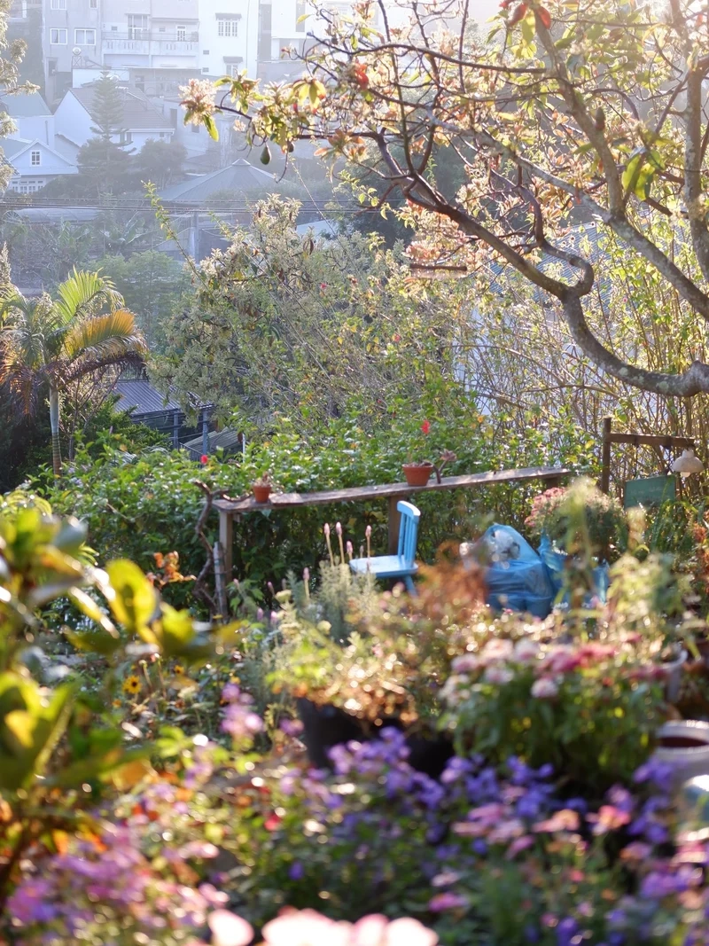 Ảnh nắng xuân giúp không gian sáng hơn