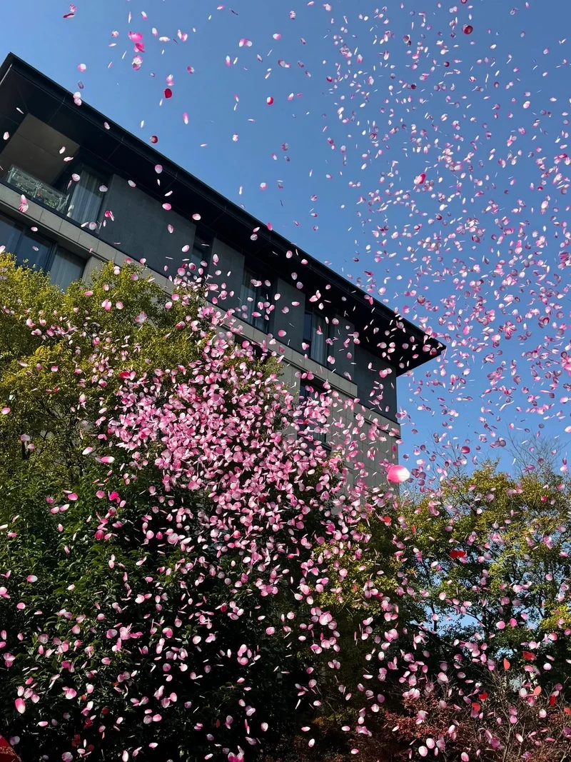 Lưu khoảnh khắc vui với Ảnh pháo giấy